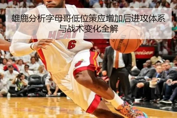 雄鹿分析字母哥低位策应增加后进攻体系与战术变化全解